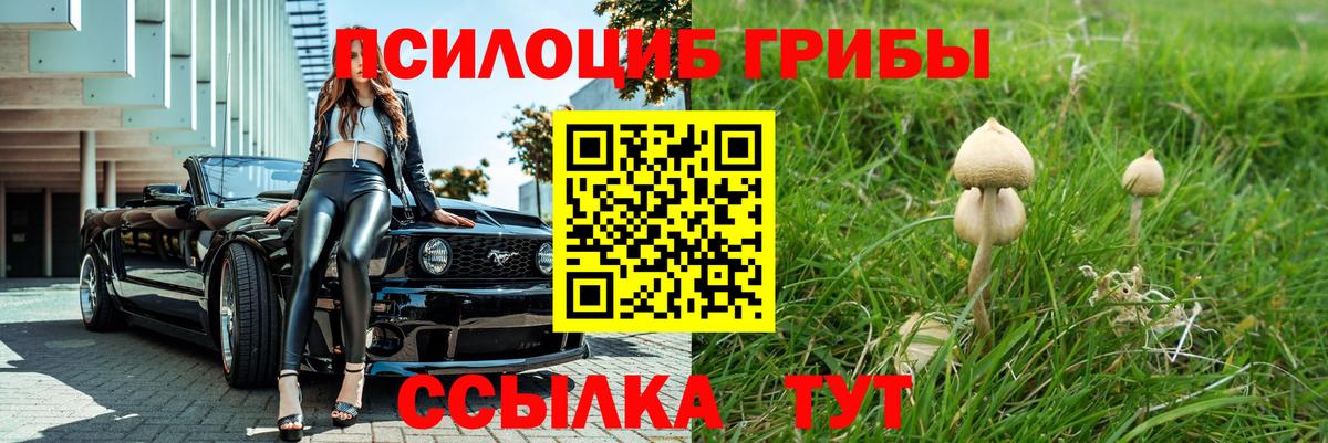 Псилоцибиновые грибы Cubensis  Вход с VPN  Южноуральск  Галлюциногенные грибы Magic Shrooms 
